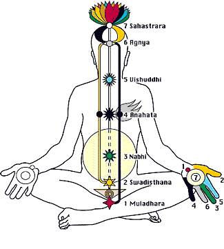 chakras